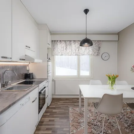 Jaeaeskaen Loma, Kojolapark Asunto 2 * Voltti